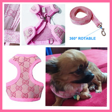 XXXS XXS XS Small Breeds