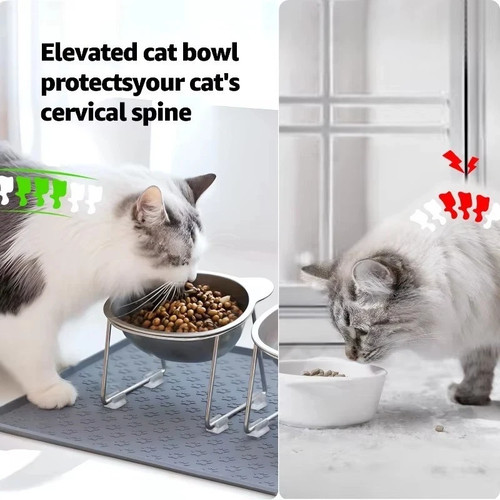 Raised cat bowl - cat,