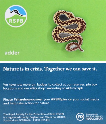 Rspb pin badge - pin, adder
