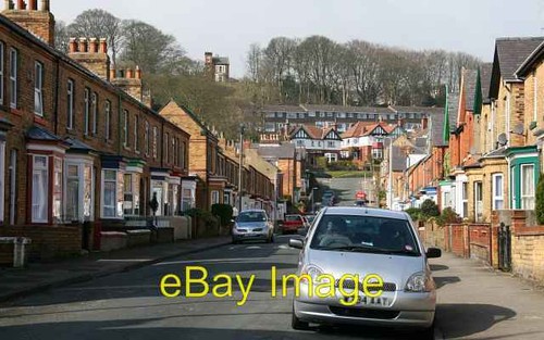 Photo 6x4 oak - photo,