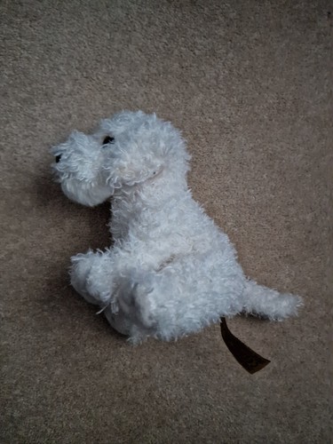 Living nature labradoodle - living,