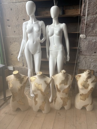 Job lot female - job,