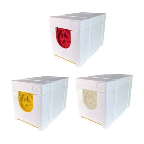 Queen bee breeding box - queen,