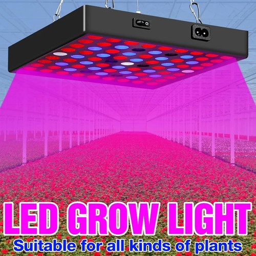 3000w led grow light - 3000w,
