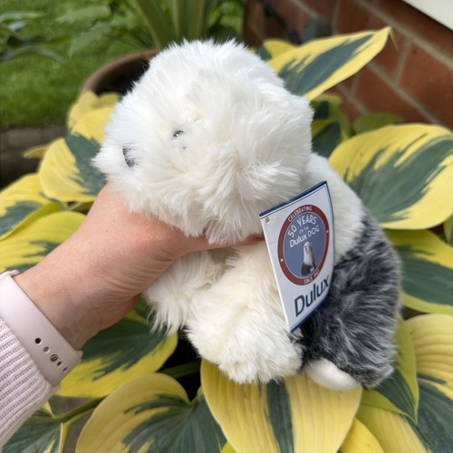 Dulux plush dog - dulux,