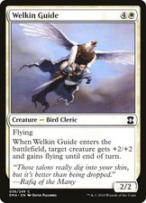 Welkin Guide (36)