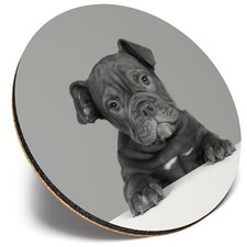 Round Single Coaster  - BW - Cute Old English Bulldog Puppy Dog  #42763
