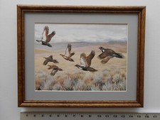 Maynard Reece SAGE GROUSE
