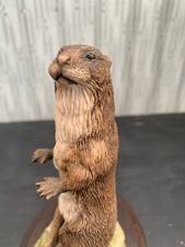 Mounted Country Artists Otter