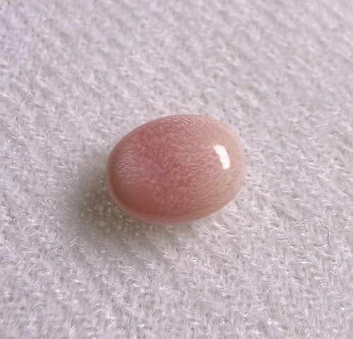 2ct natural conch pearl soft - 2ct,