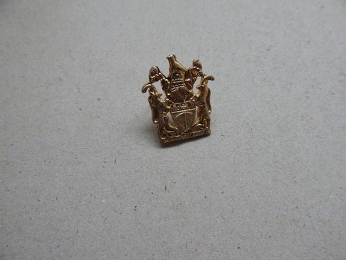 Rhodesia intaff gold hat - gold,