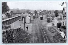 POSTCARD WELSH PONY PONT