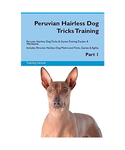 Peruvian hairless dog tricks - peruvian,