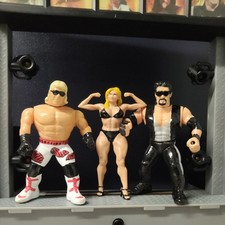 WWE Custom hasbro Shawn