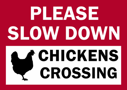 Chickens crossing please slow