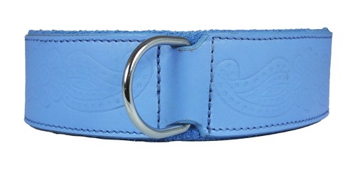 Blue paisley leather dog - blue,