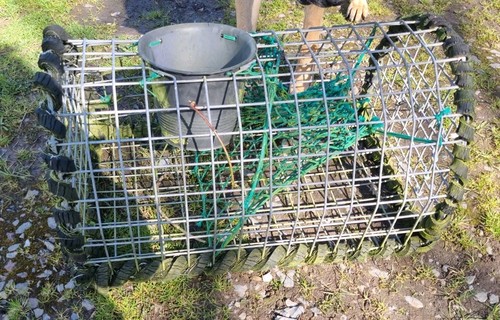 Lobster pot galvanised steel - lobster,