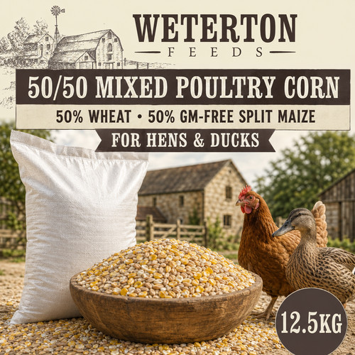 5kg poultry corn - feed, –