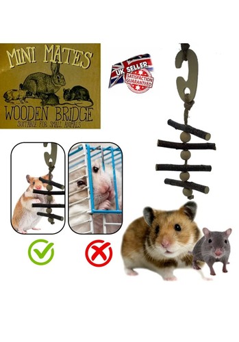 Pet small animal accessories - animal,
