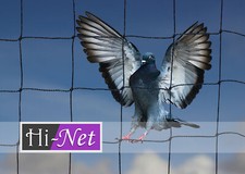 Garden netting 10m 50mm - 3m,