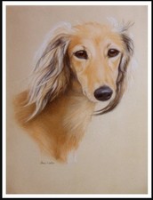 SALUKI DOG ART PRINT POSTER