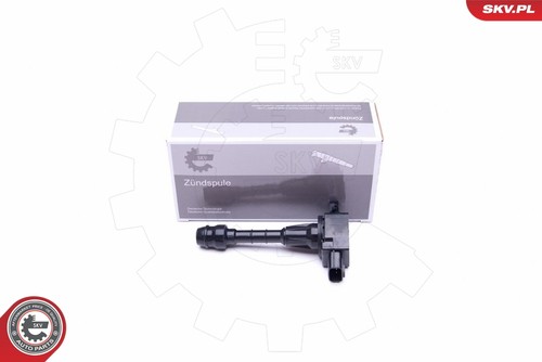 Fits skv germany - fits,