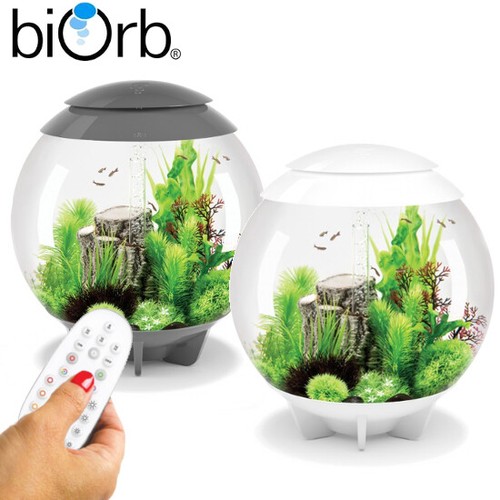 Oase biorb halo aquarium - oase,
