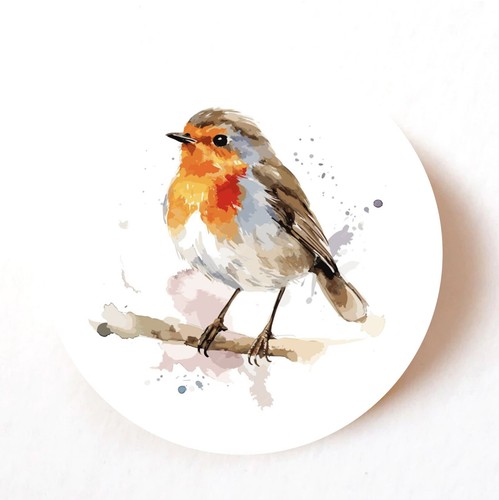 Robin watercolour christmas - robin,