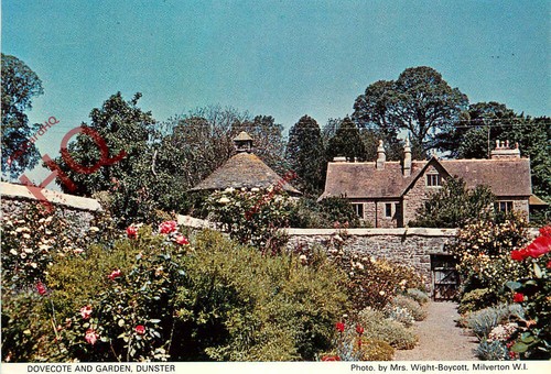 Picture postcard dunster - picture, postcard~