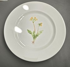 The Royal Bone China Company The Poets Garden Collection 22cm plate
