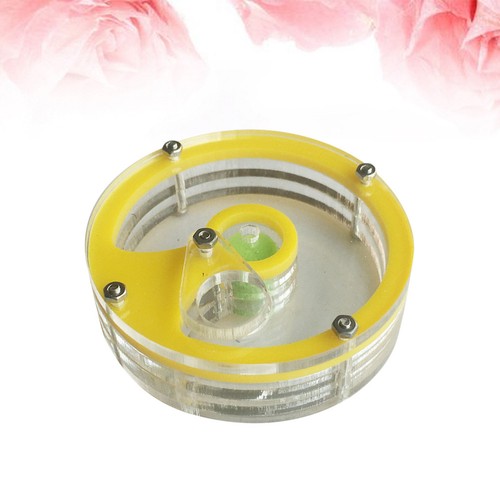 Practical ant acrylic living - ant,