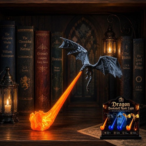 Dragon bookshelf nook - nook, 3d
