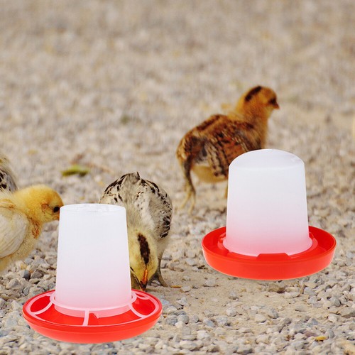 Automatic water chicken - water,