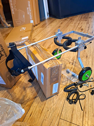 Dog wheelchair mobility - dog, cart