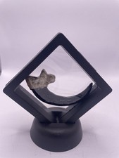 Mounted Replica Dinosaur Claw