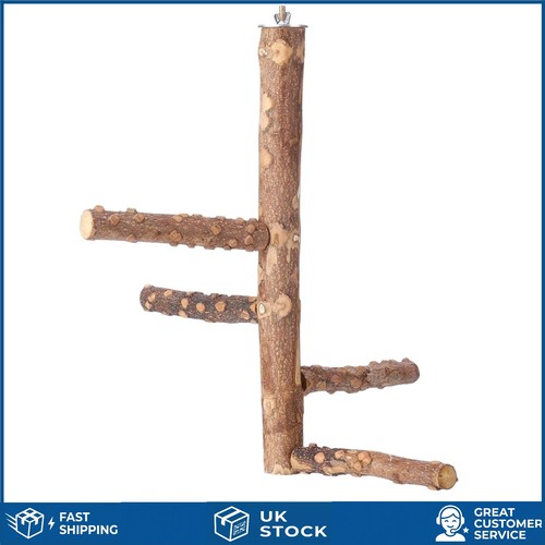 Natural prickly ash wood multi - prickly,