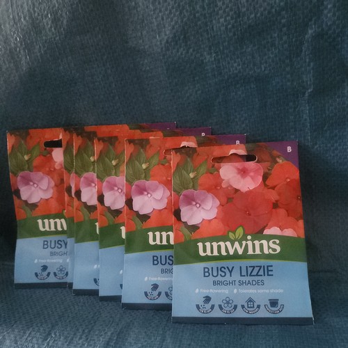 Unwins busy lizzie bright - busy,