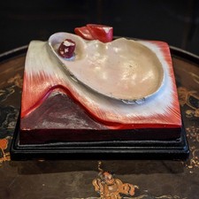 soviet 1940s 1950s plaster anatomical teaching model hearth pelvis