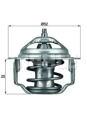 Thermostat mahle for - tx,