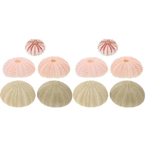 Assorted color sea - assorted,