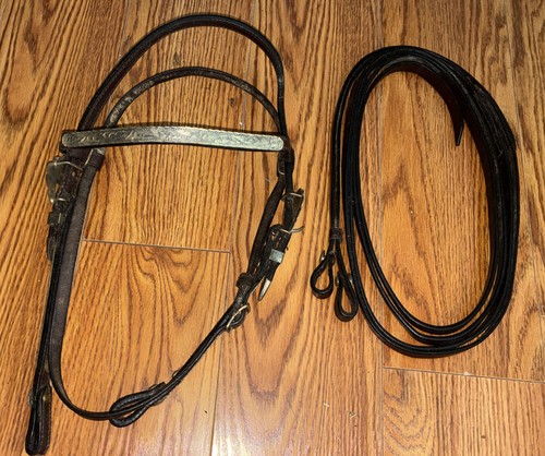 Western horse tack leather - horse,