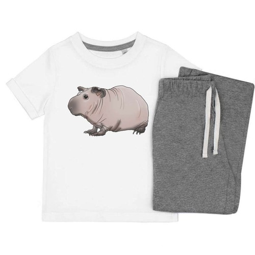 Hairless guinea pig - guinea, pig'
