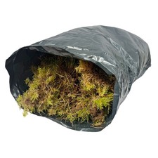 Fresh Sphagnum Moss 3.5 KG +