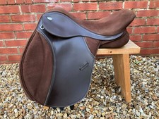 5 DAY TRIAL ✅ RARE 17"