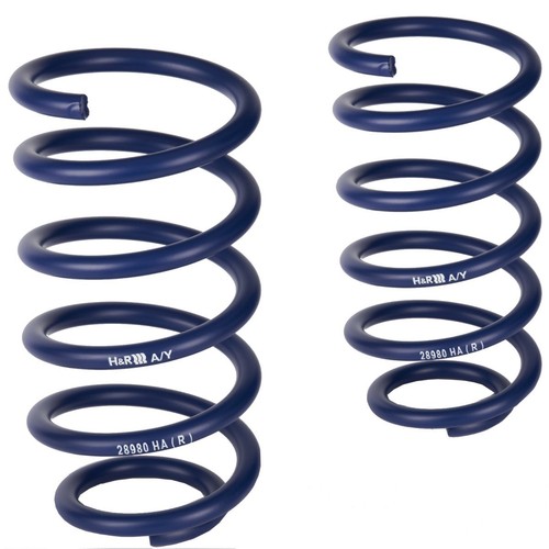 Lowering springs va for - h&r,