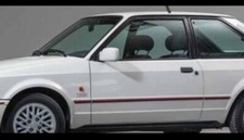 BRAND NEW ESCORT