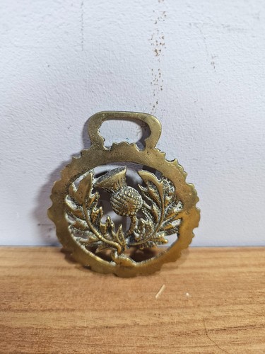 Horse brass thistle - horse,