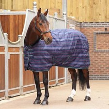 Shires Tempest Plus 100 Stable