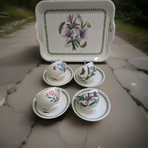 Portmeirion botanical garden - portmeirion,