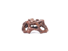 Antique Chinese Hardwood Root Stand – 19thC Qing Dynasty Scholar Object Display